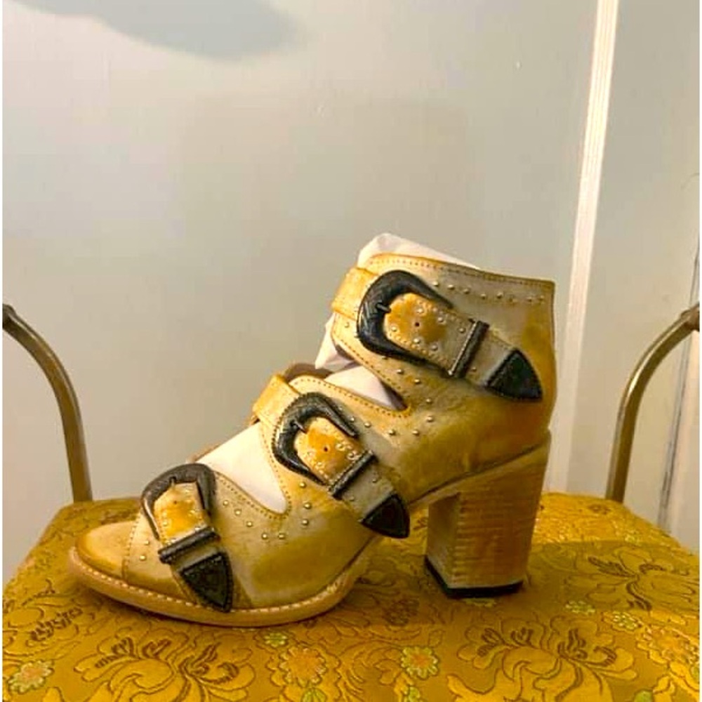 Freebirds by Steven Violet